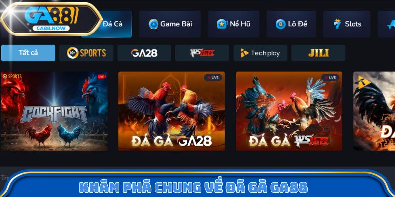 Khám phá chung về đá gà GA88